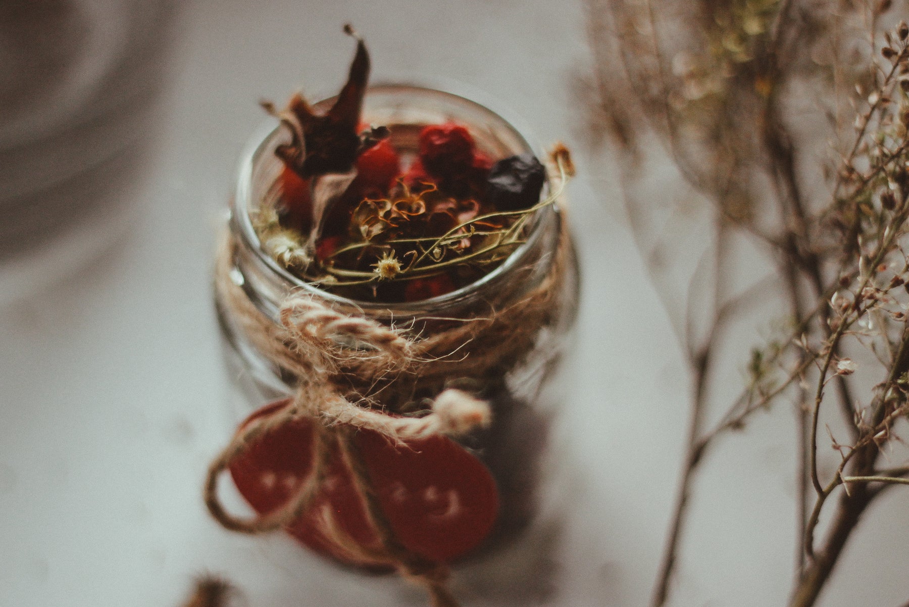 Herbs Used in Witchcraft