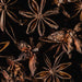 Ethereally Wicked Apothecary Star Anise - 3 x 5 bag