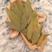 Ethereally Wicked Bay Leaves- 3 x 5 bag